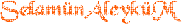 S.a